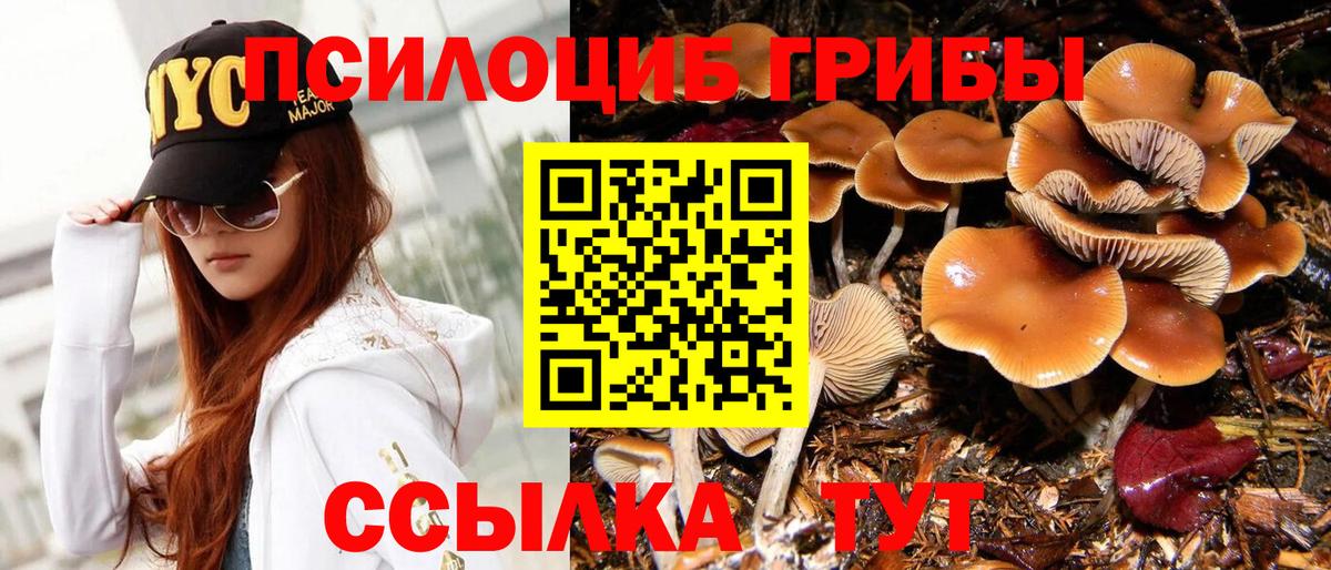 Галлюциногенные грибы мицелий Зима