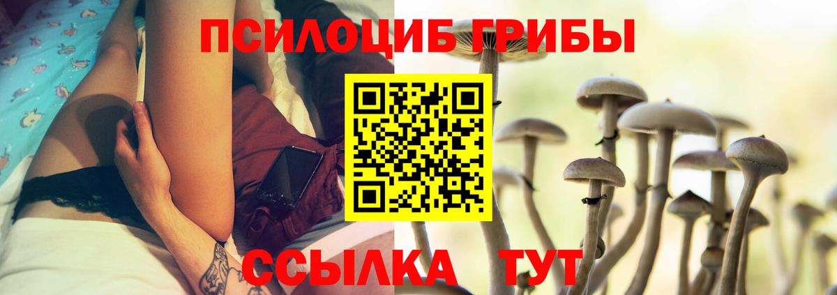 Псилоцибиновые грибы ЛСД  Вход с VPN  Галлюциногенные грибы мицелий  Зима 